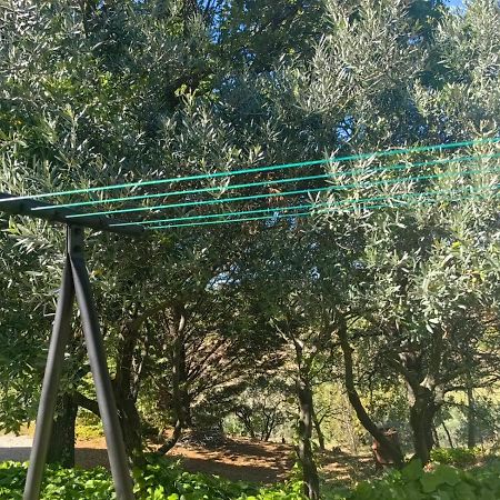 Petit Coin De Paradis En Provence Aups Eksteriør billede